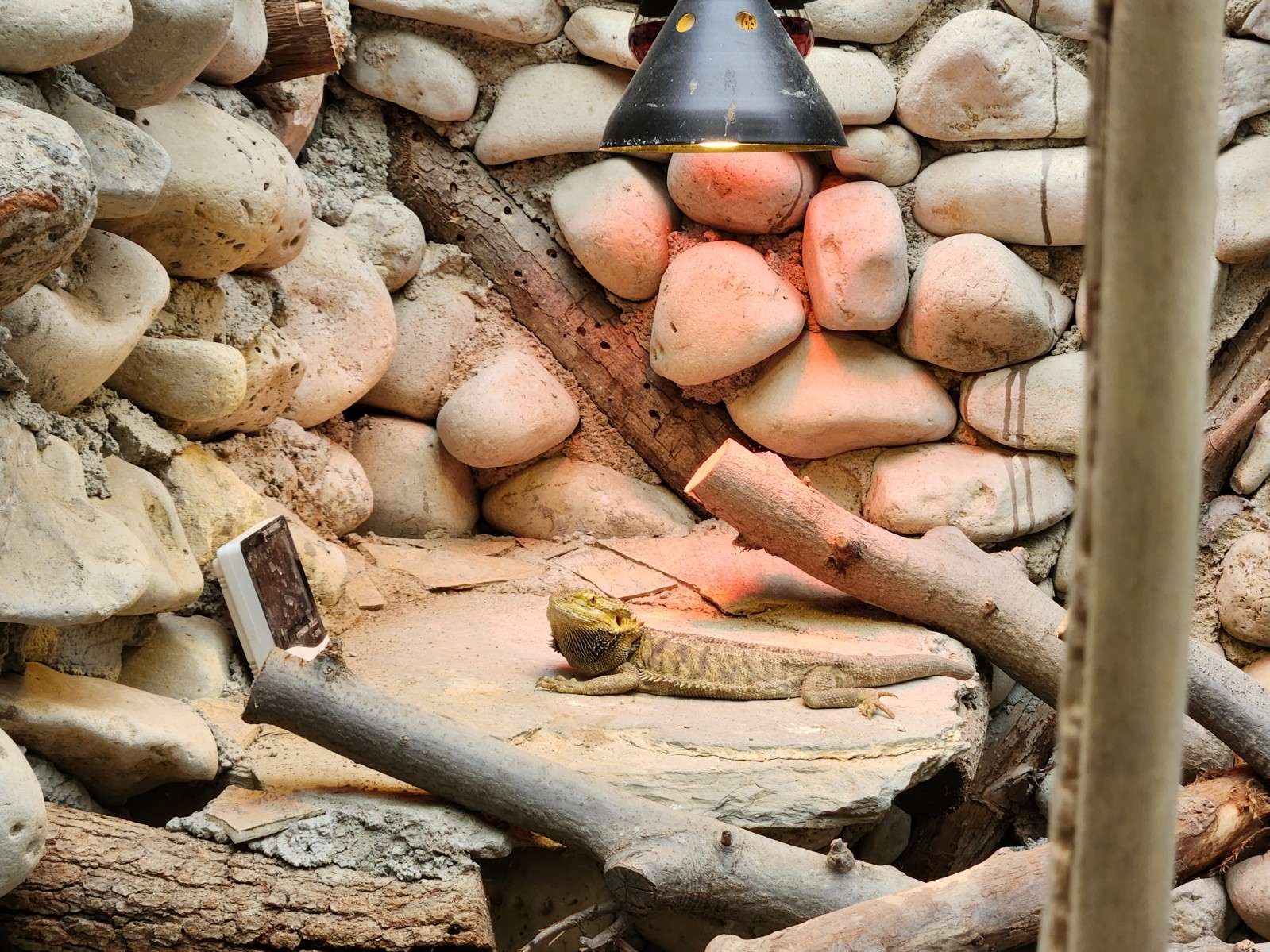 Installation of the Modern Smart Monitoring System in the Zoo - Zlín