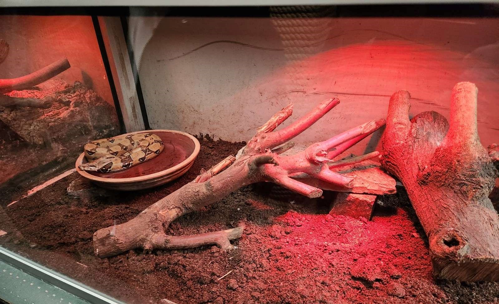 Smart Fauna in Zoo Zlín III.: Continuation of successful cooperation